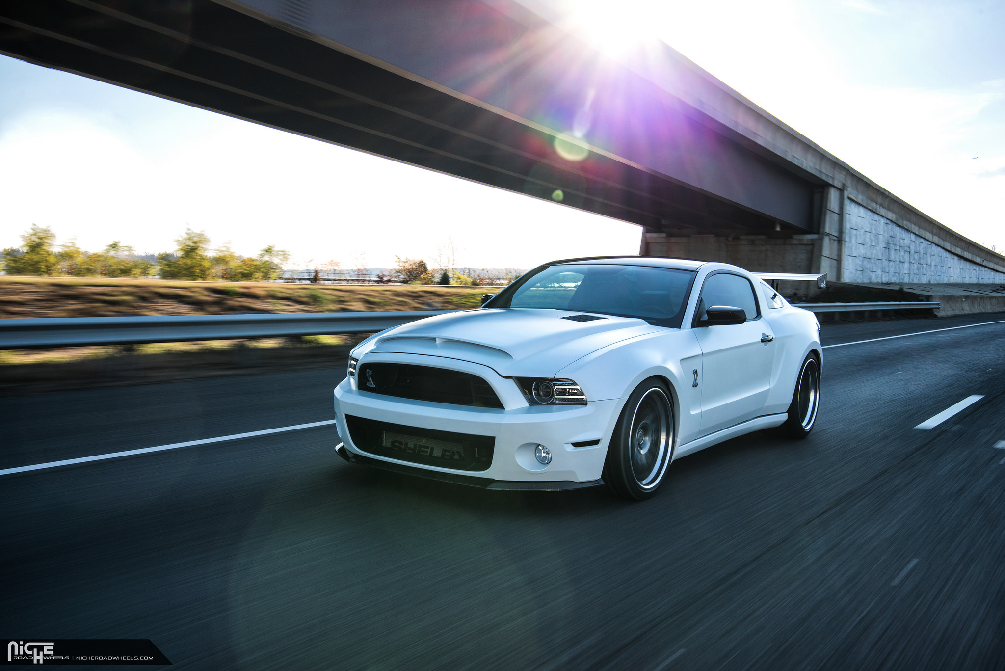Ford Mustang Shelby GT 500 Style Hood - Photo by Niche