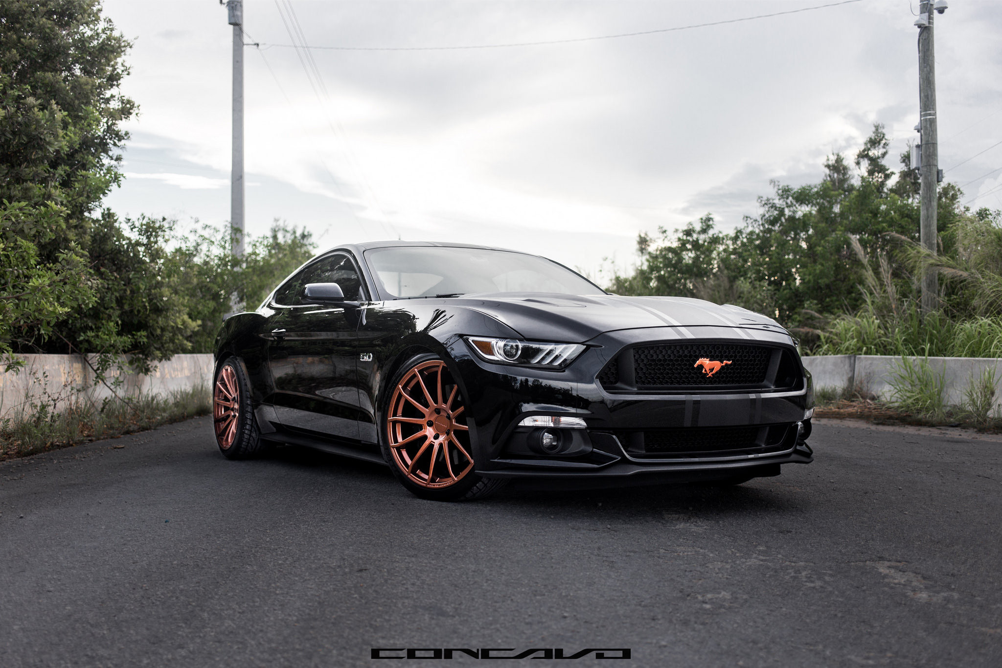 S550 Mustang on Dark Bronze Concavo Custom Wheels - Photo by Concavo