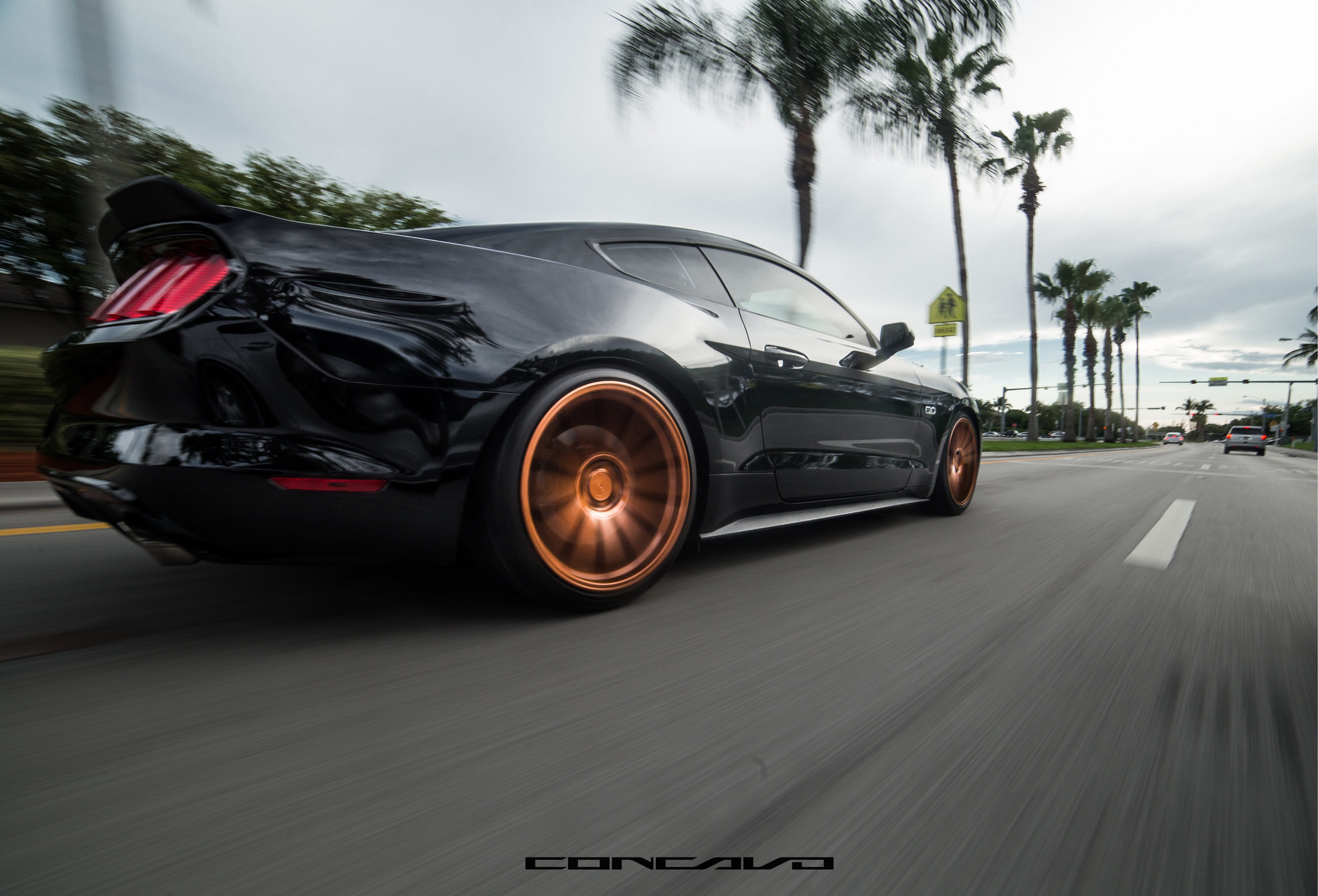 Black Ford Mustang on the Highway - Photo by Concavo