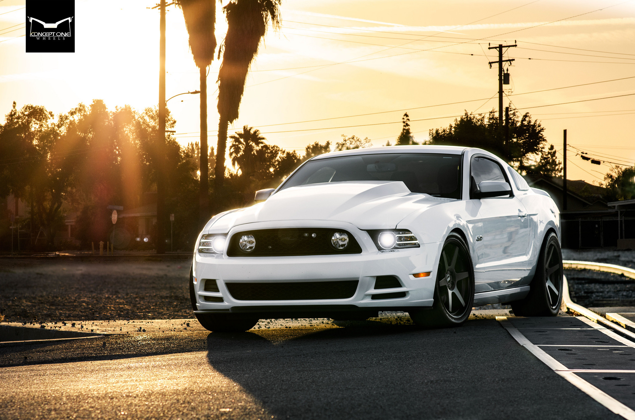 Ford Mustang GT With a Big Cowl Hood - Photo by Concept One