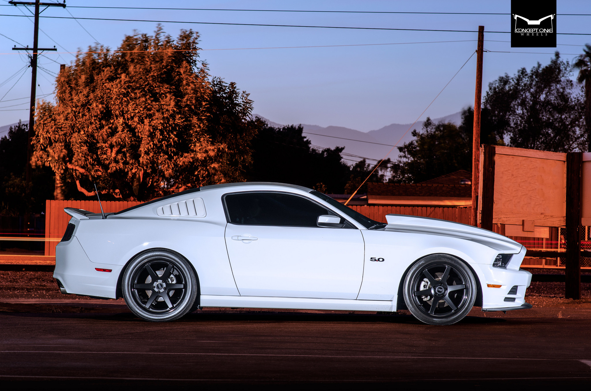 White Ford Mustang GT 5.0 - Photo by Concept One