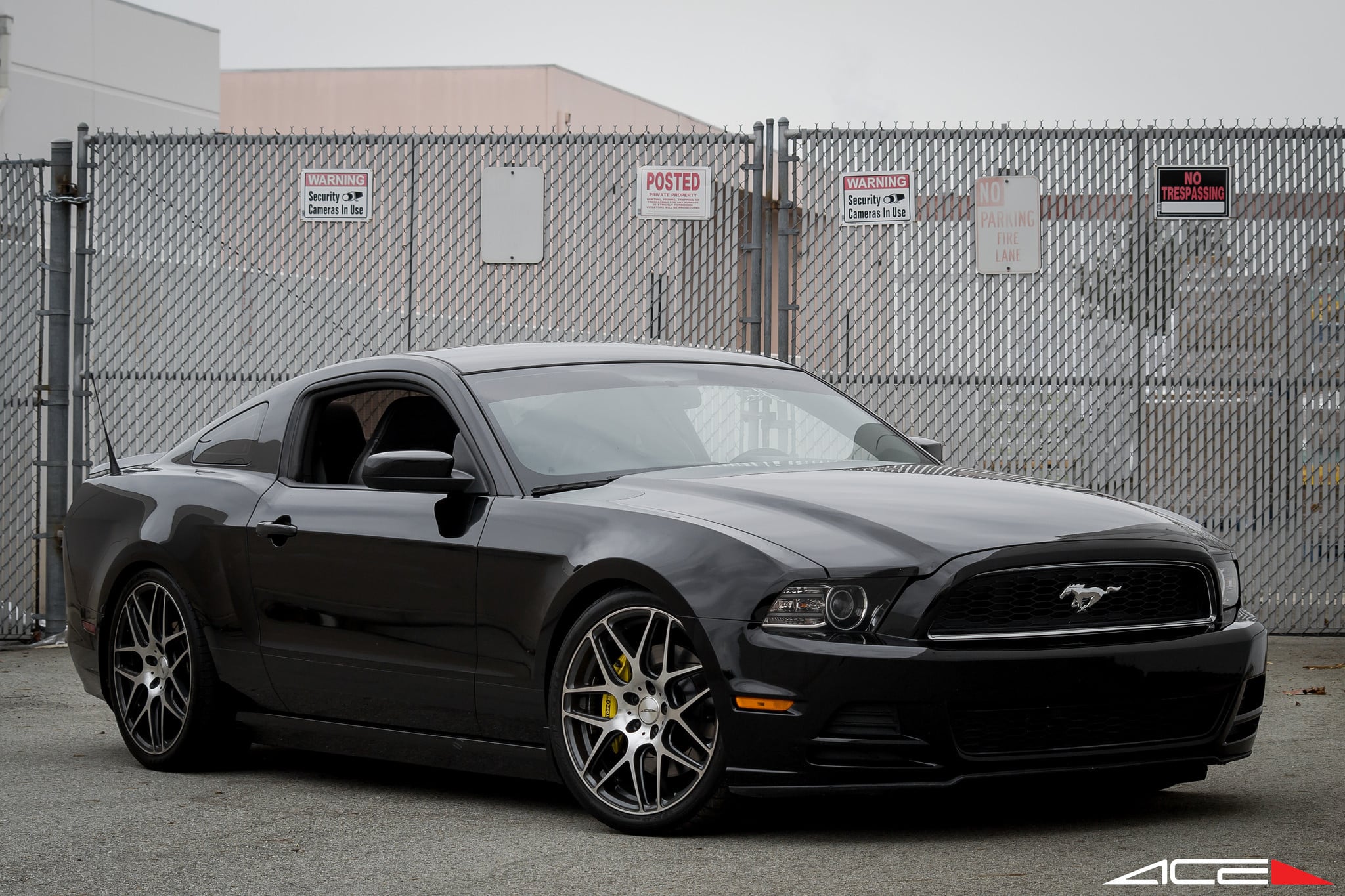Mustang GT with Yellow Stop Tech Performance Brakes - Photo by ACE Alloy