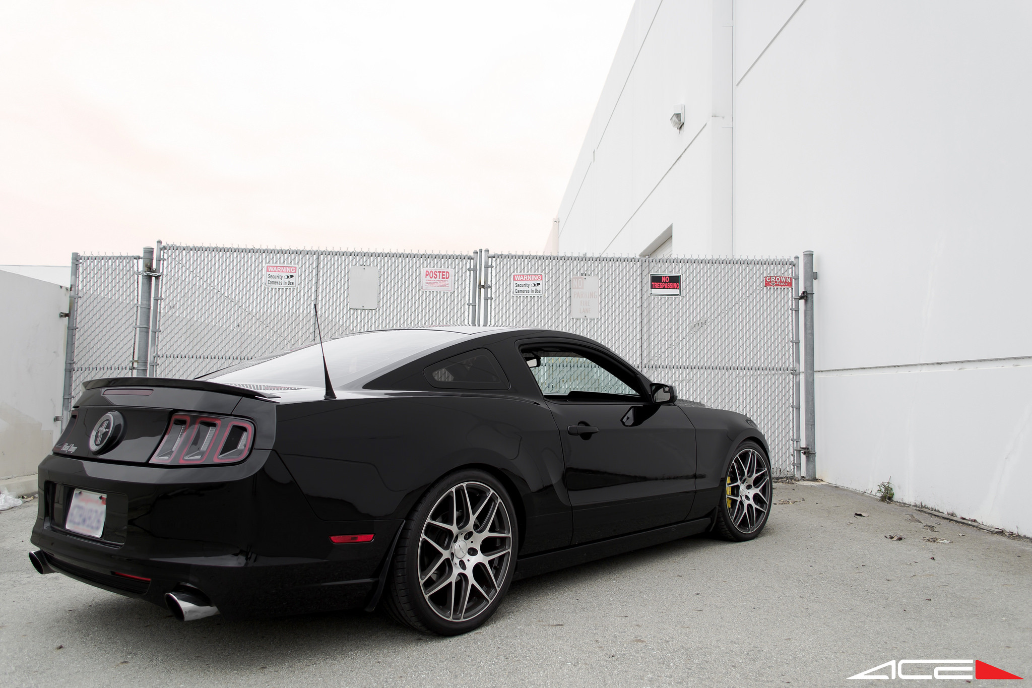 Black Ford Mustang GT Rear View - Photo by ACE Alloy