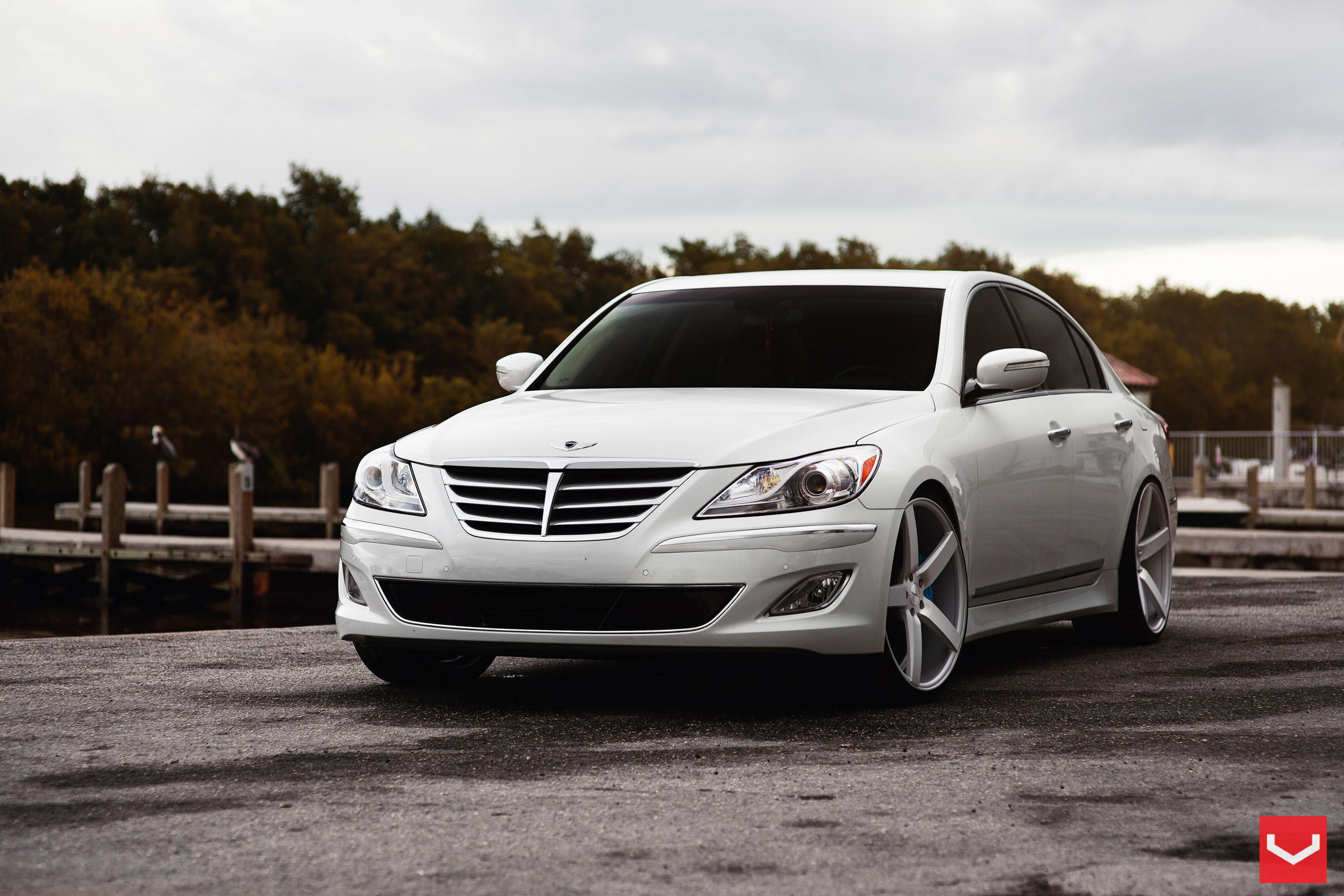 Custom DRL Bar Headlights on White Hyundai Genesis - Photo by Vossen