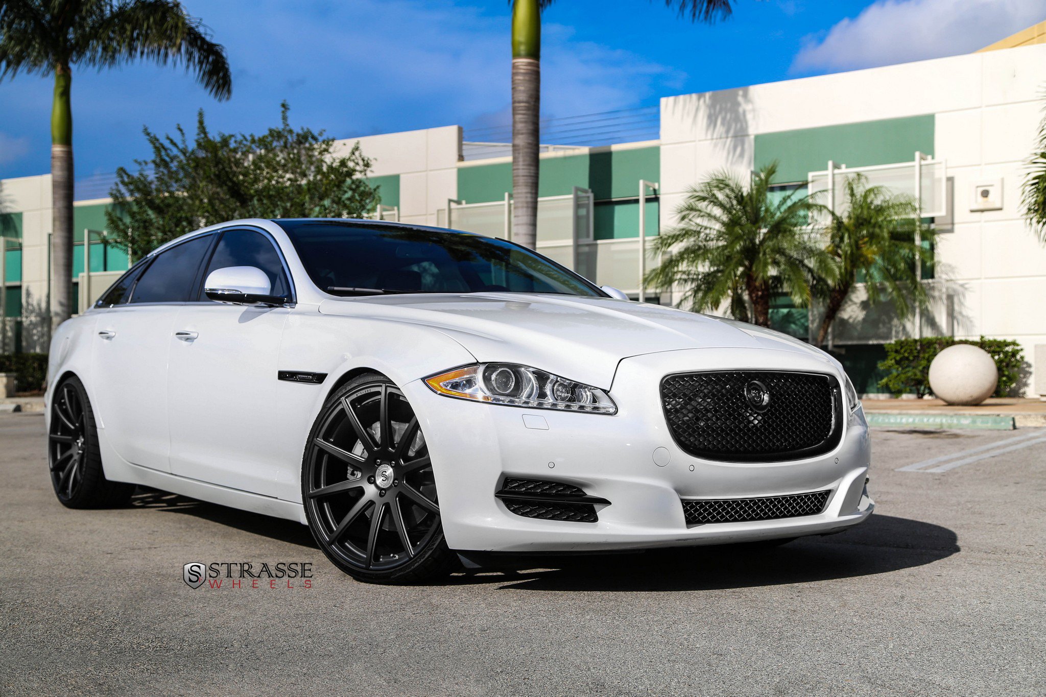 Jaguar XJ 351 White