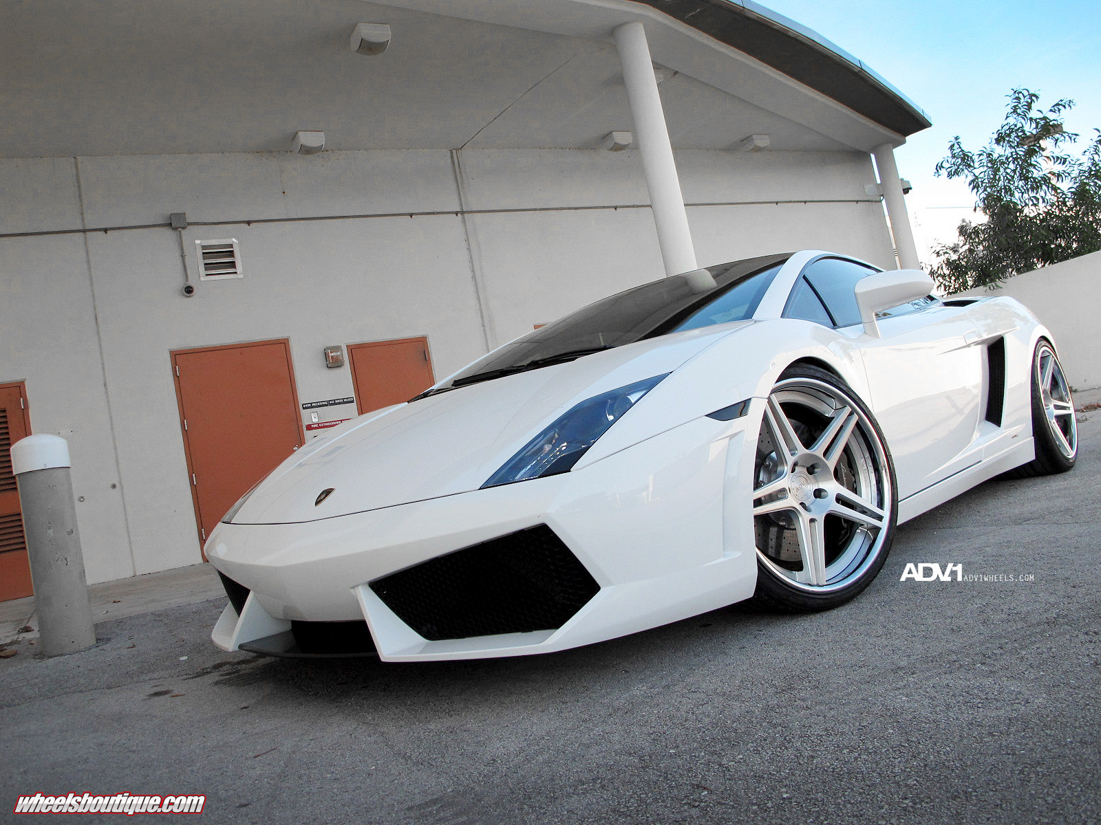 White Lamborghini Gallardo on Polished Wheels - Photo by ADV.1