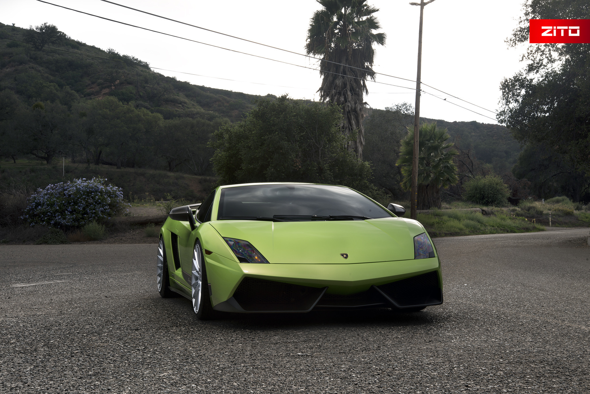 Chrome Zito Wheels on Green Lamborghini Gallardo - Photo by Zito Wheels