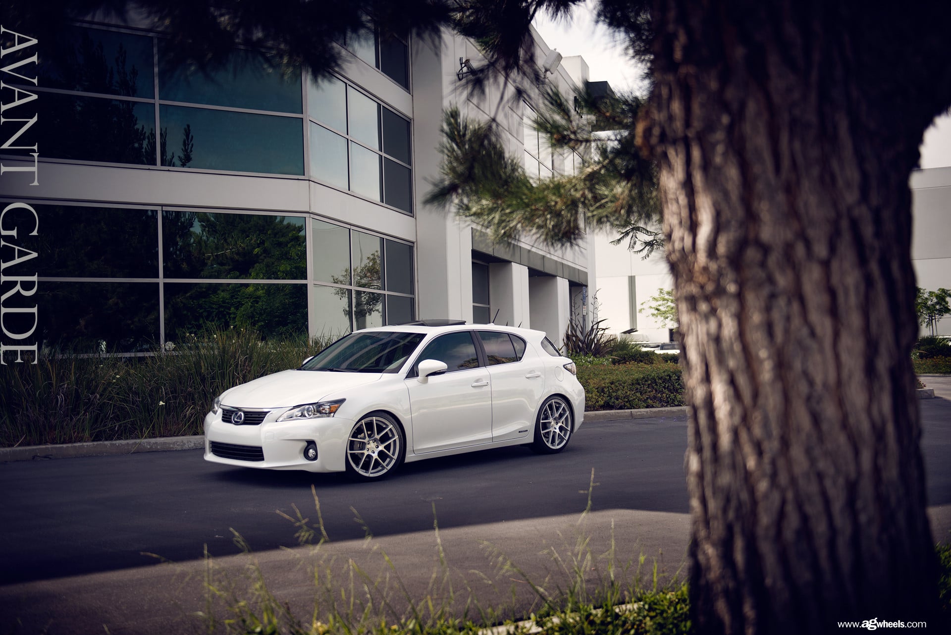 Projector Headlights on White Lexus CT - Photo by Avant Garde Wheels