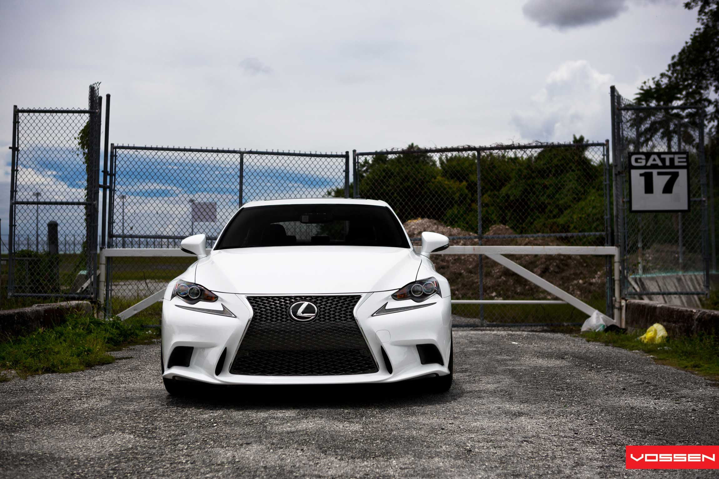 Dark Smoke Halo Headlights on White Lexus IS - Photo by Vossen
