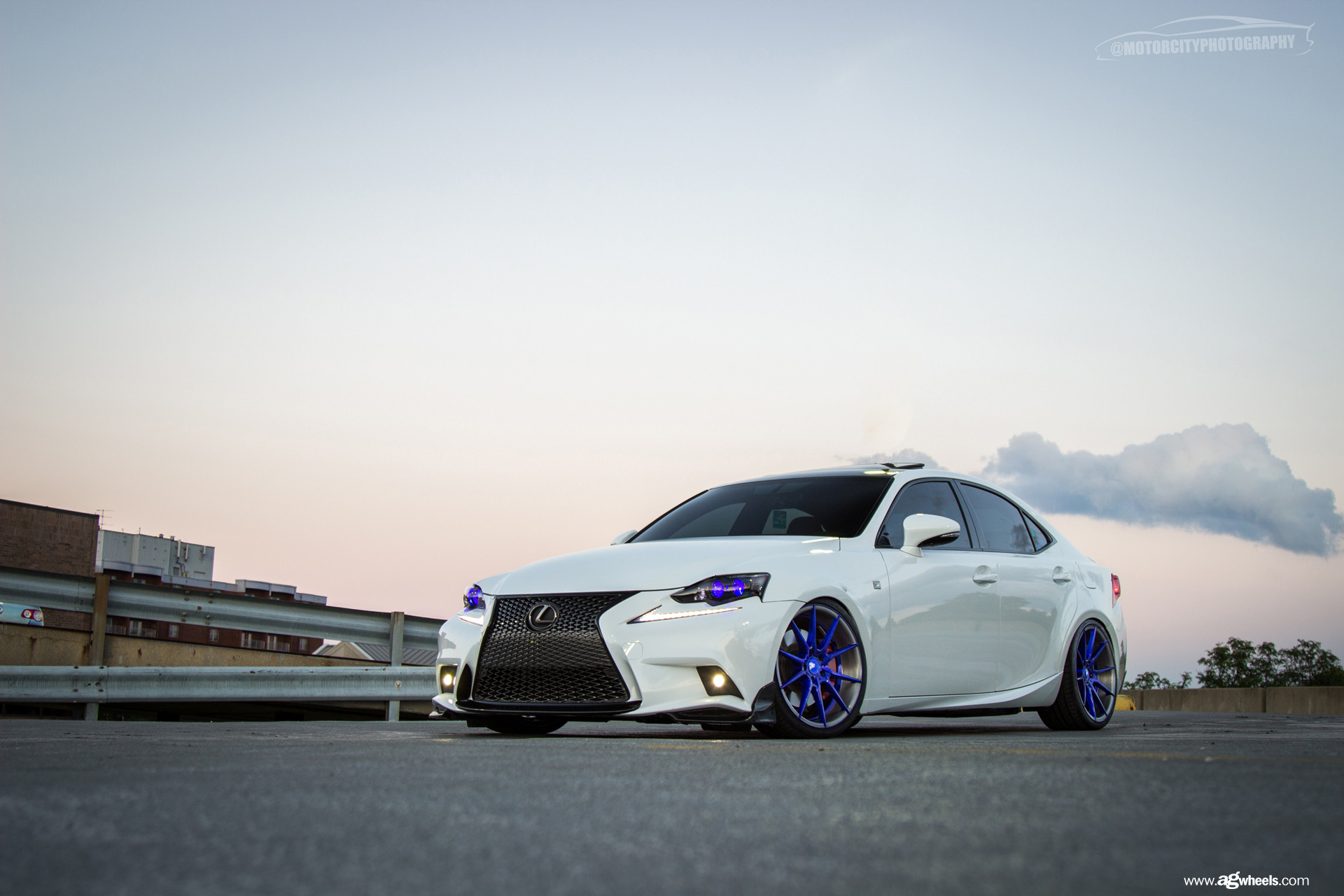 Custom Color Halo Headlights on White Lexus IS - Photo by Avant Garde Wheels