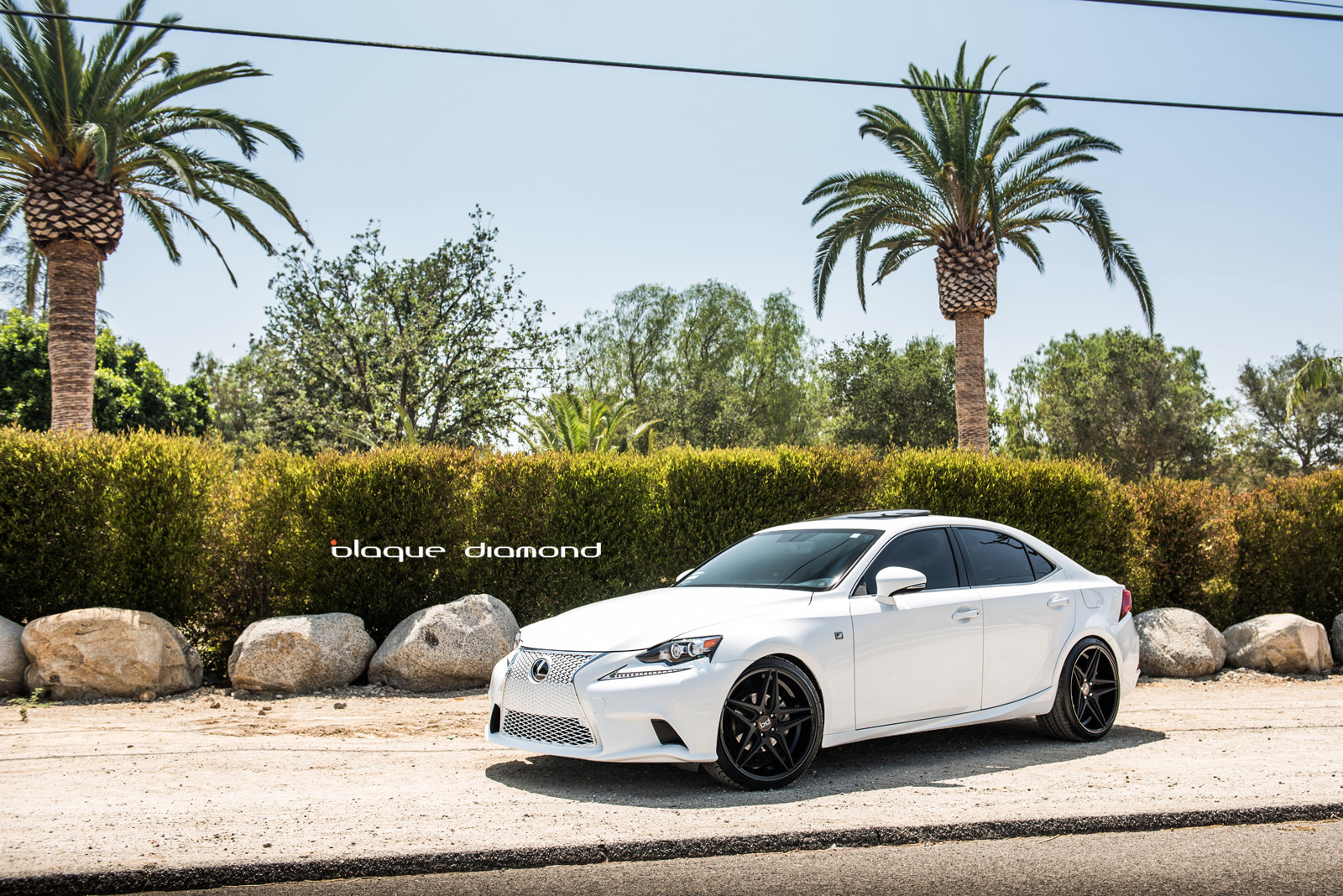 Custom White Mesh Grille on Lexus IS - Photo by Blaque Diamond