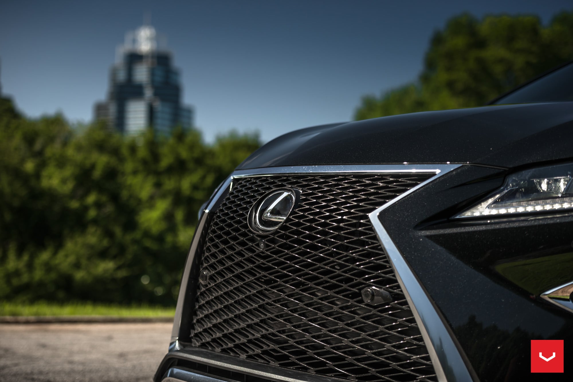 Black Lexus RX with Custom Mesh Grille - Photo by Vossen