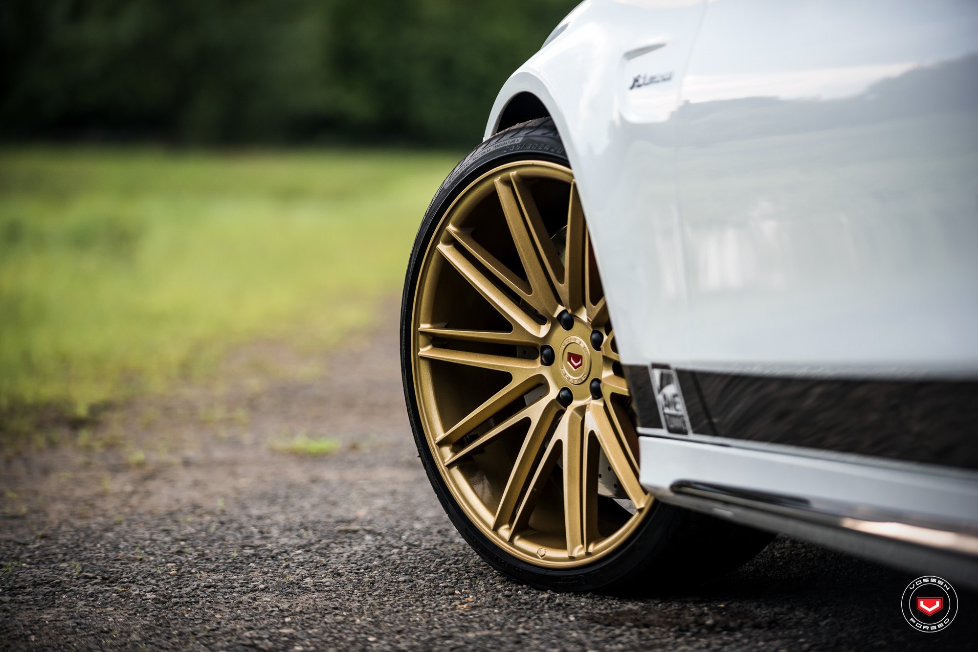 Золотые диски Vossen