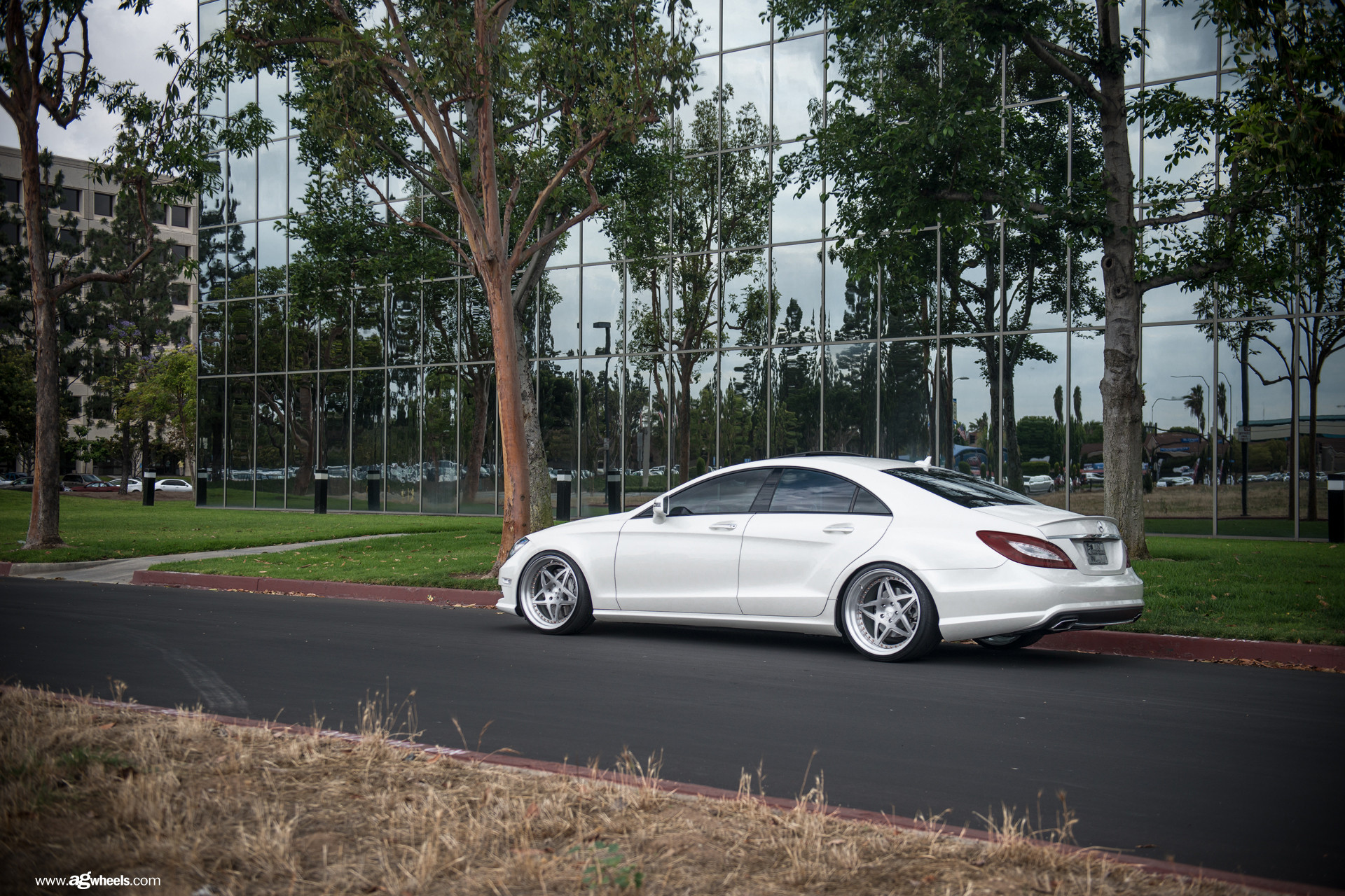 Custom Side Skirts on White Mercedes CLS - Photo by Avant Garde Wheels