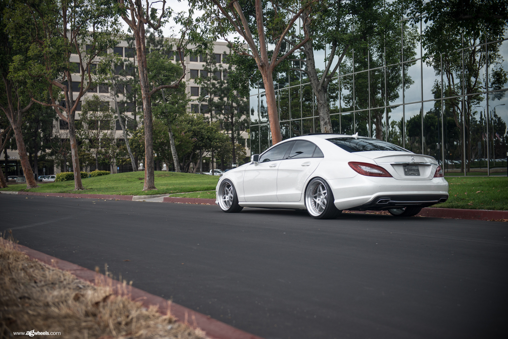Factory Style Rear Spoiler on White Mercedes CLS - Photo by Avant Garde Wheels