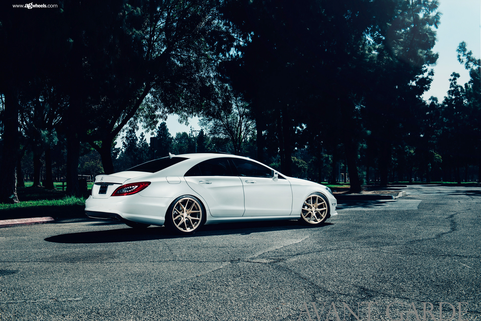 Custom White Mercedes CLS Rear Diffuser - Photo by Avant Garde Wheels