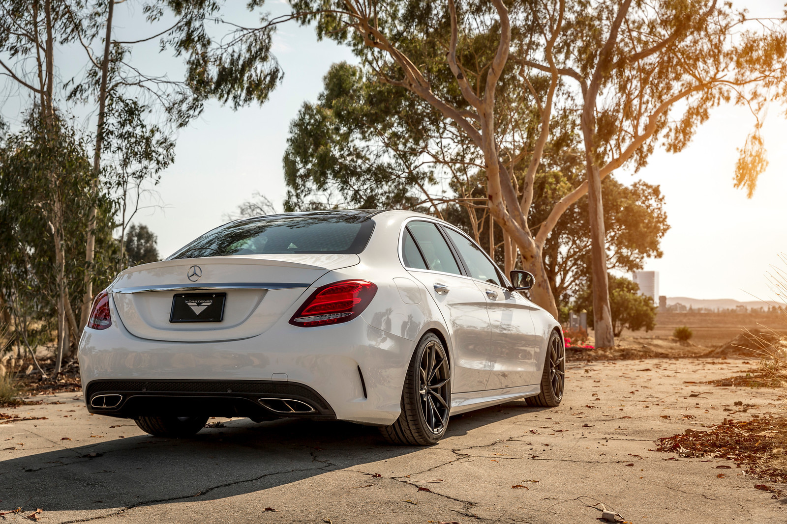 White Mercedes S Class with Red LED Taillights - Photo by Vorstiner