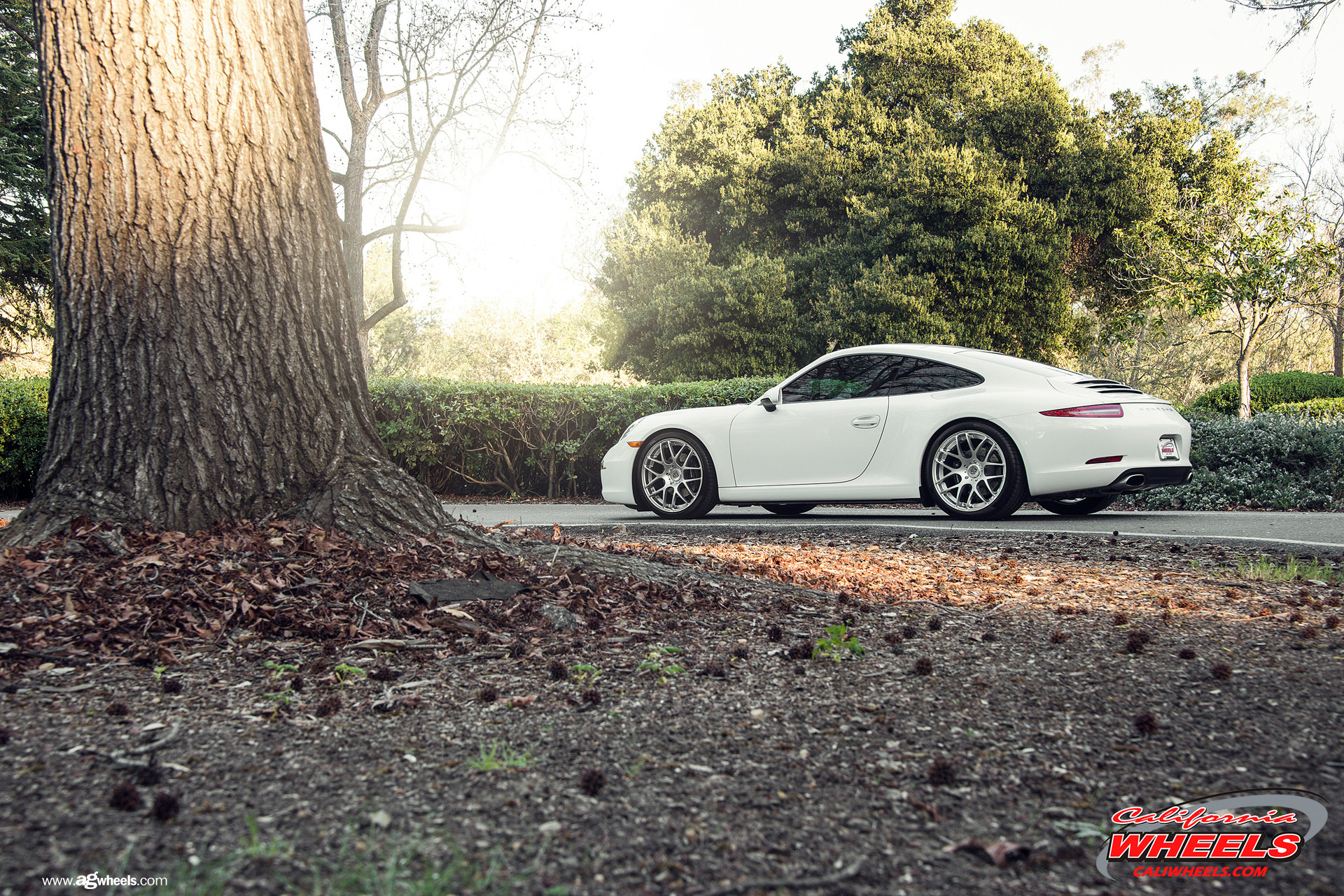 Window Louvers on White Porsche 911 - Photo by Avant Garde Wheels