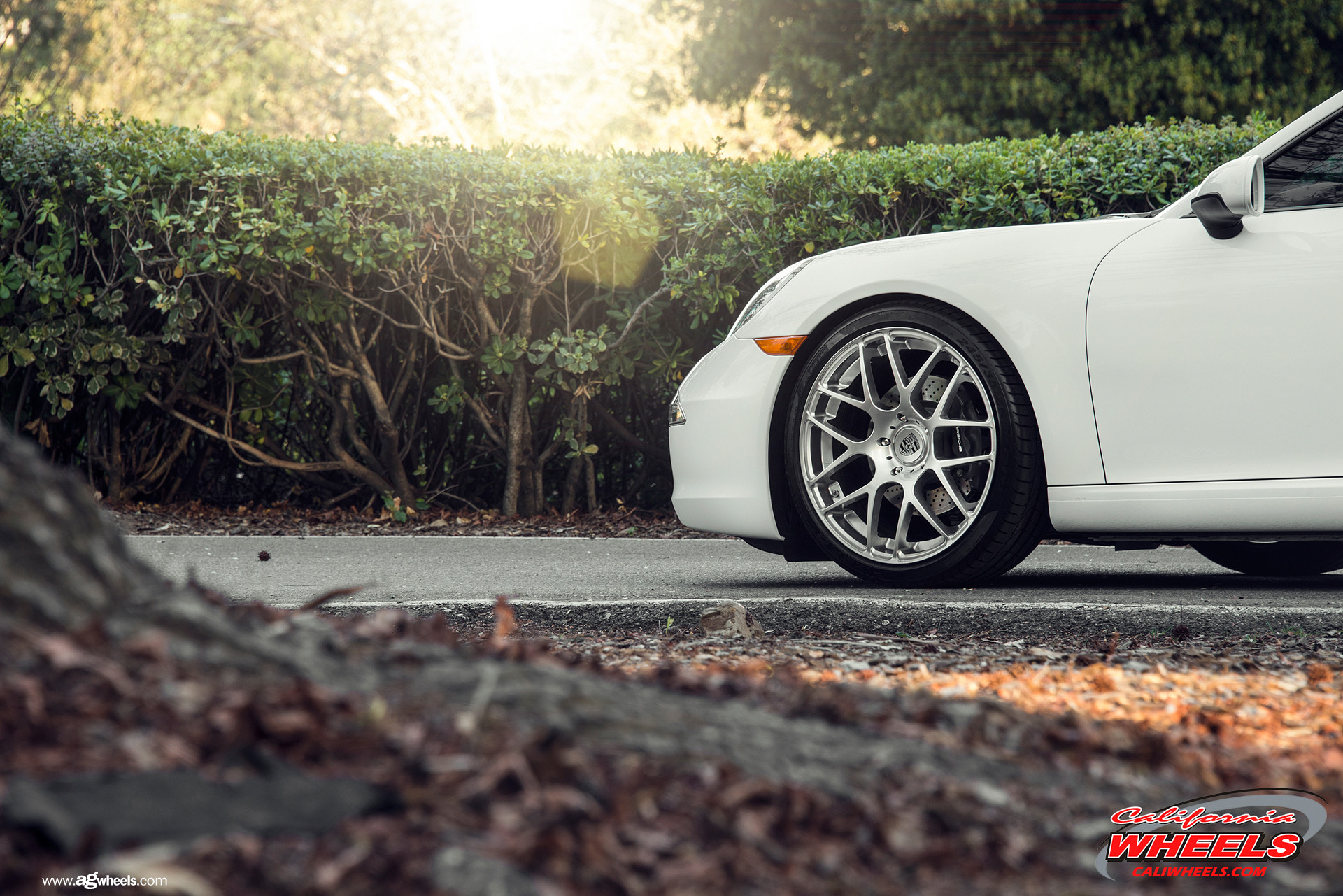 White Porsche 911 with Chrome Avant Garde Wheels - Photo by Avant Garde Wheels
