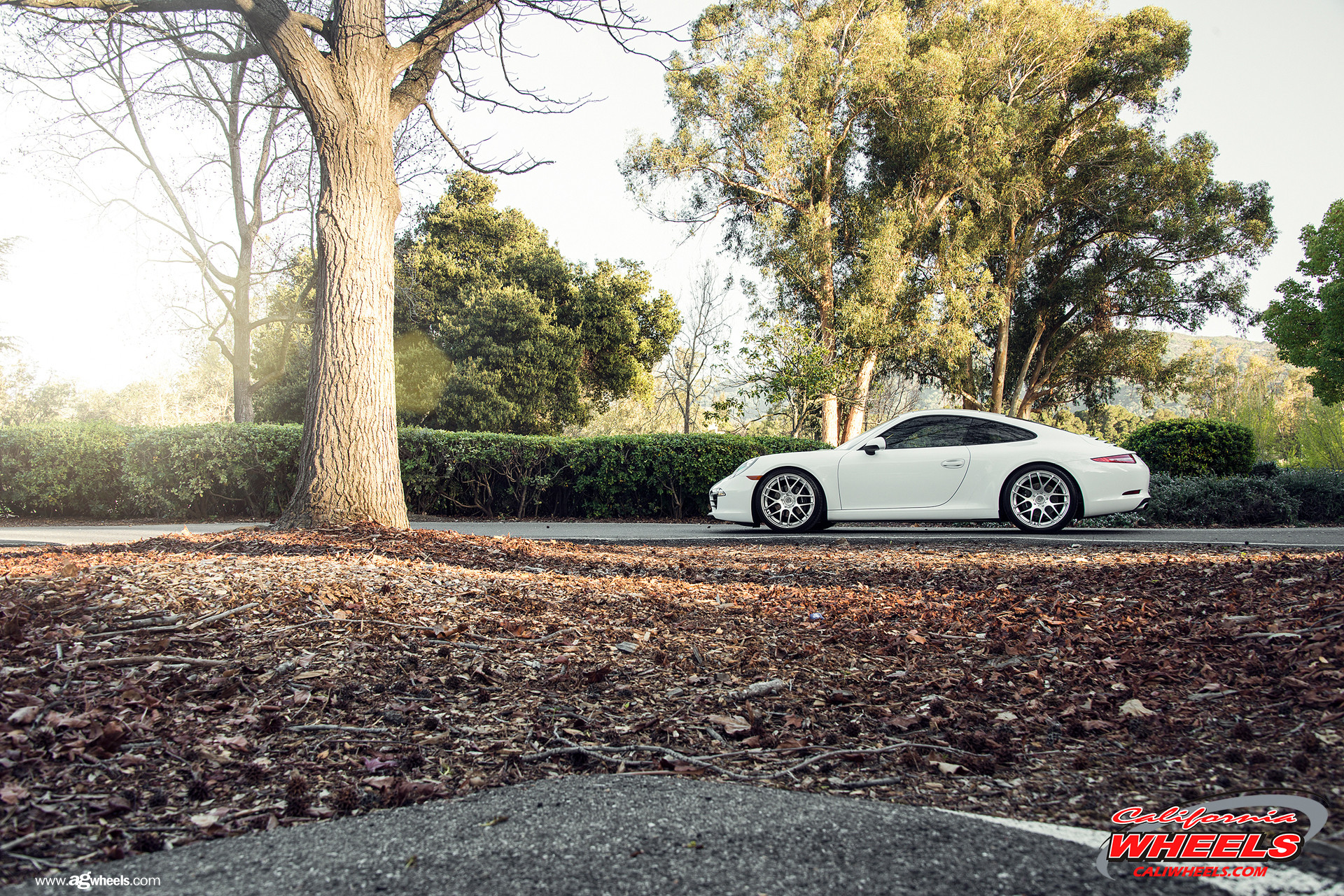 Custom Avant Garde Rims on White Porsche 911 - Photo by Avant Garde Wheels