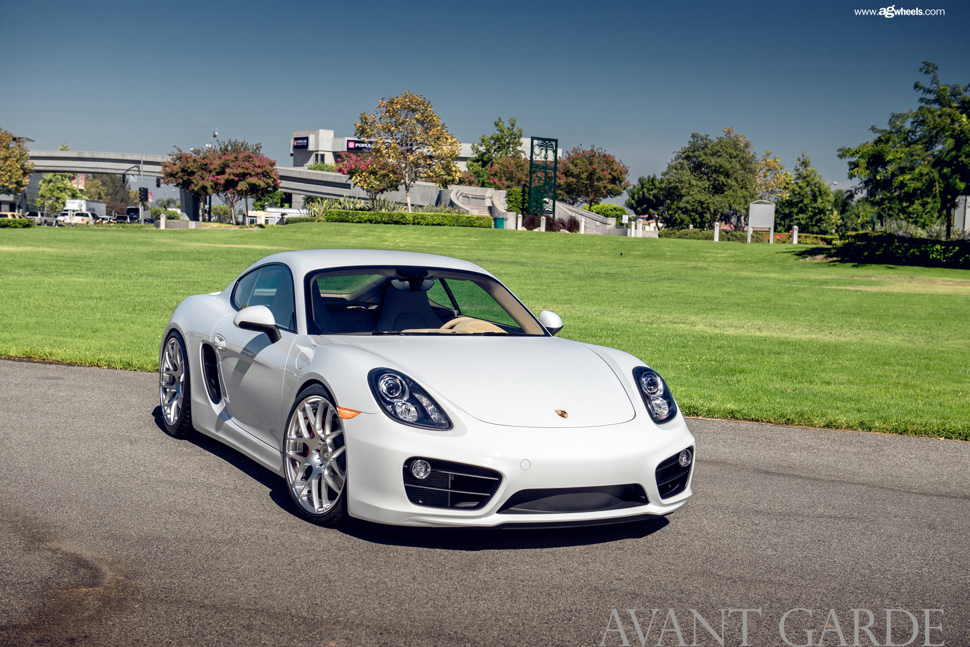Dark Smoke Headlights on White Porsche Cayman - Photo by Avant Garde Wheels
