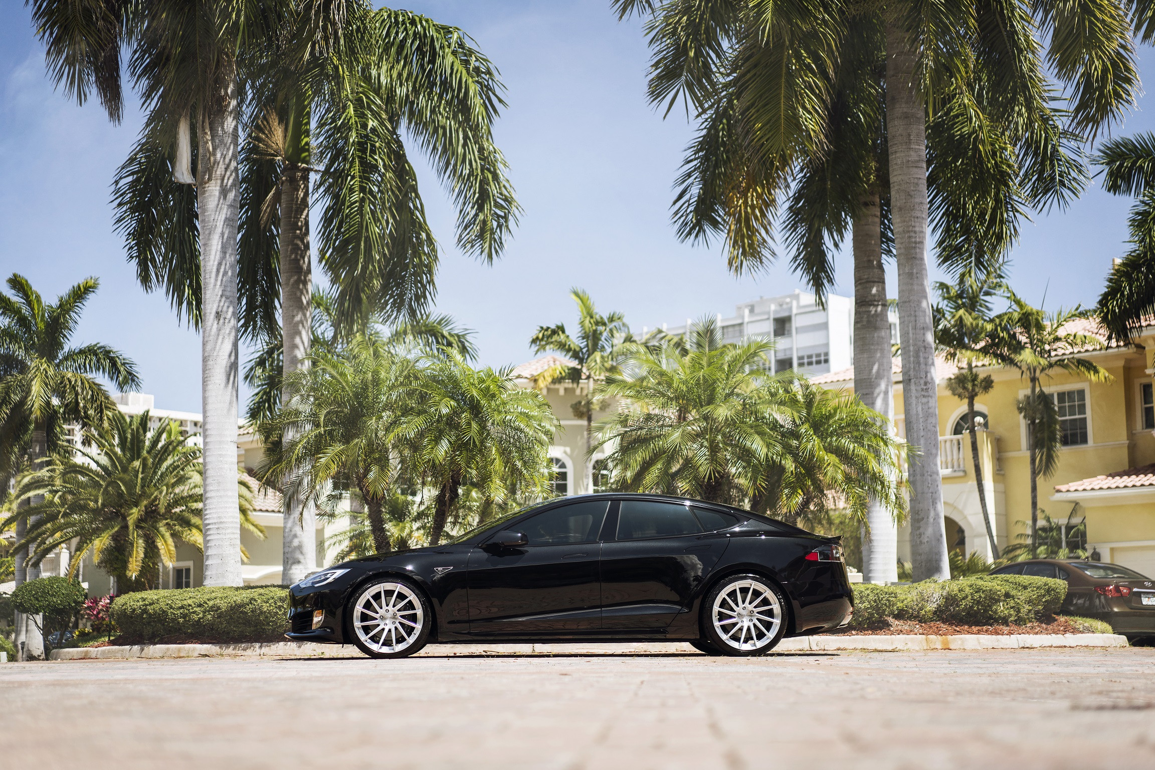 Forged Brushed Niche Rims on Black Tesla Model S - Photo by Niche