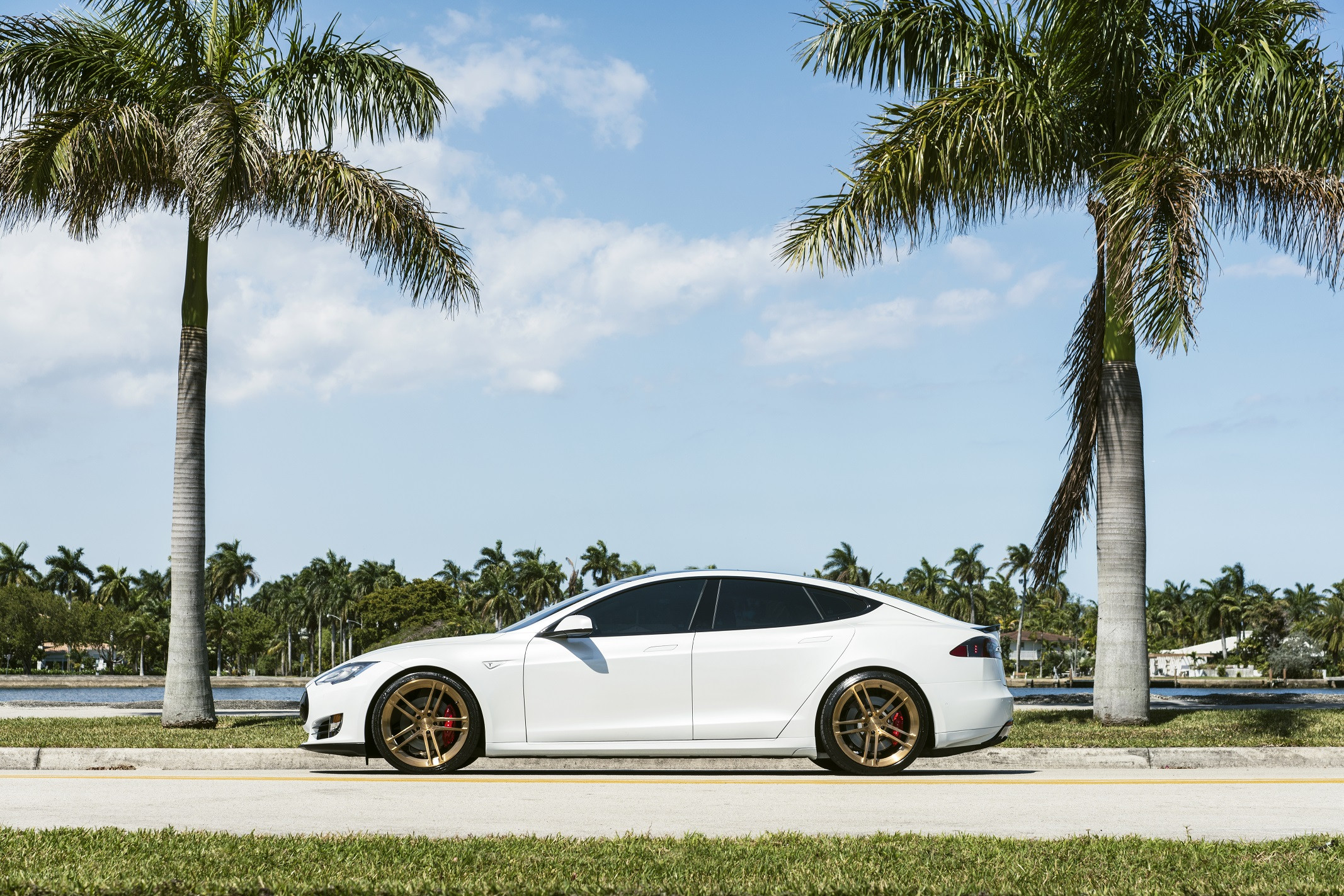 Aftermarket Side Skirts on White Tesla Model S - Photo by Niche