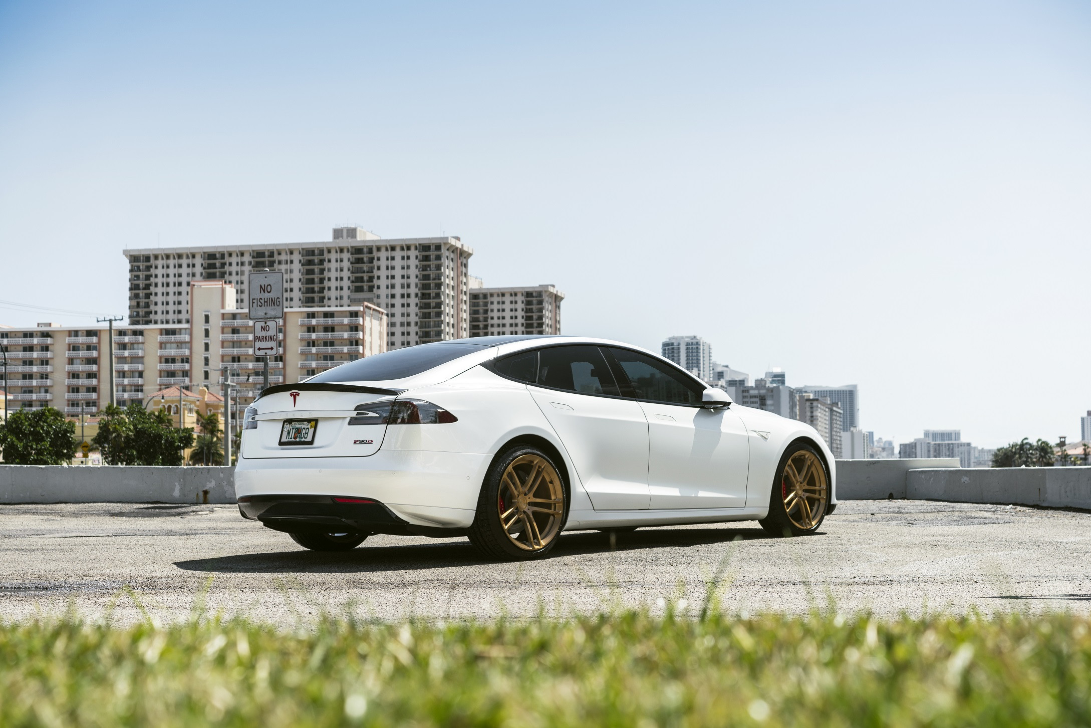 Black Rear Spoiler on White Tesla Model S - Photo by Niche
