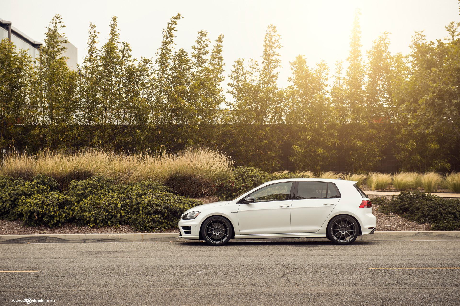 White VW Golf with Gloss Black Avant Garde Rims - Photo by Avant Garde Wheels