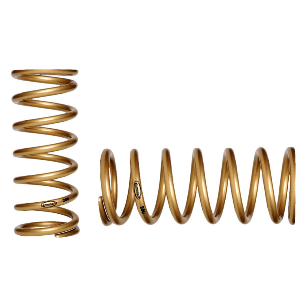 Landrum Performance Spring® The Gold Series Rear Conventional Coil Spring