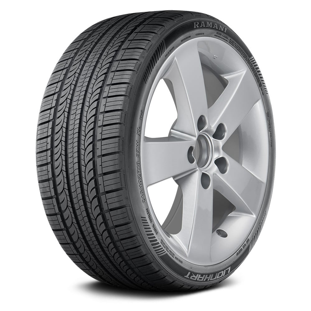 ラリマー LIONHART® LHGSRAS1565020 - RAMANI A/S P195/65R15 91V