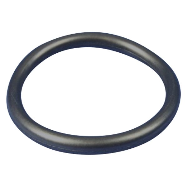 Mopar® Dodge Sprinter 2003 PCV Valve ORing