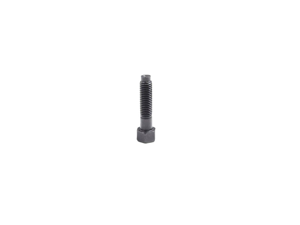 Mopar® 06505754AA Engine Oil Dipstick Tube Bolt