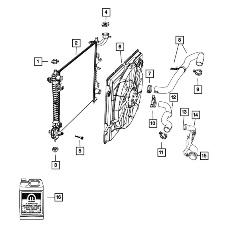 Mopar® 55038026AJ - Engine Coolant Radiator Hose