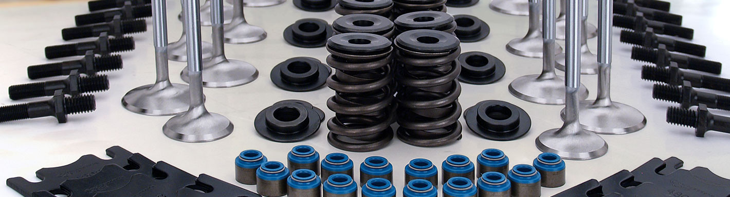 Engine Valve Lifters Carid