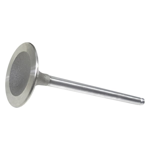 QualCast® 101569 Intake Valve