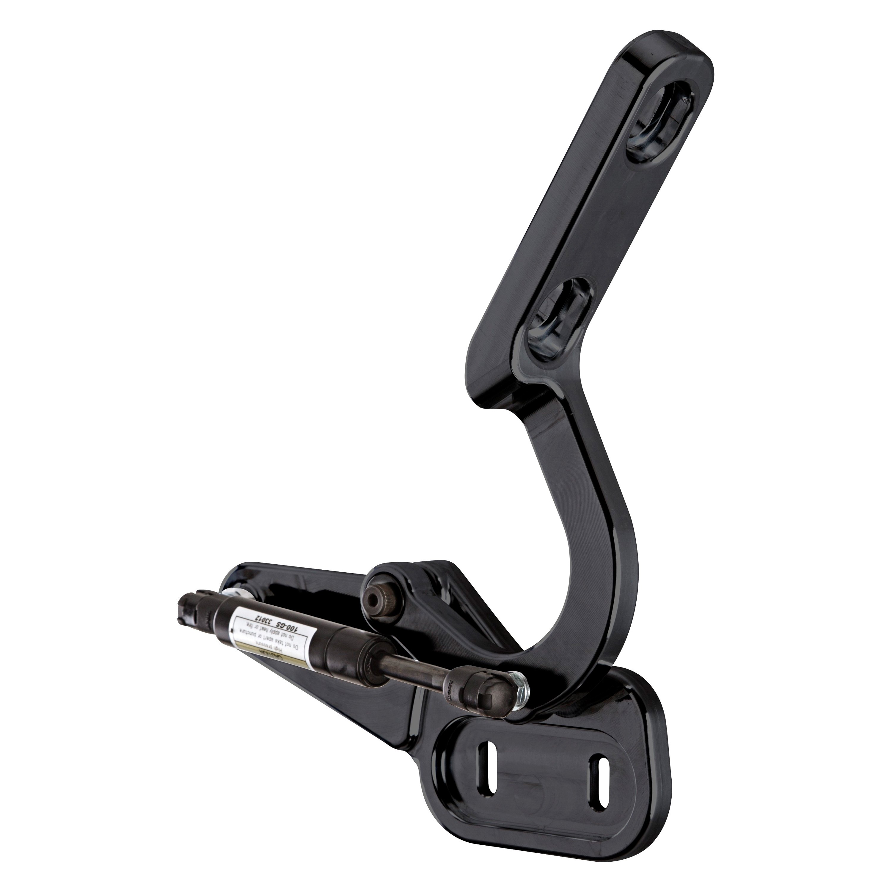 Ringbrothers® 1801150656BF Trunk Hinge Kit