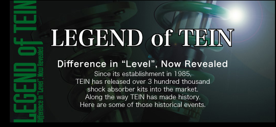 TEIN® - Flyer