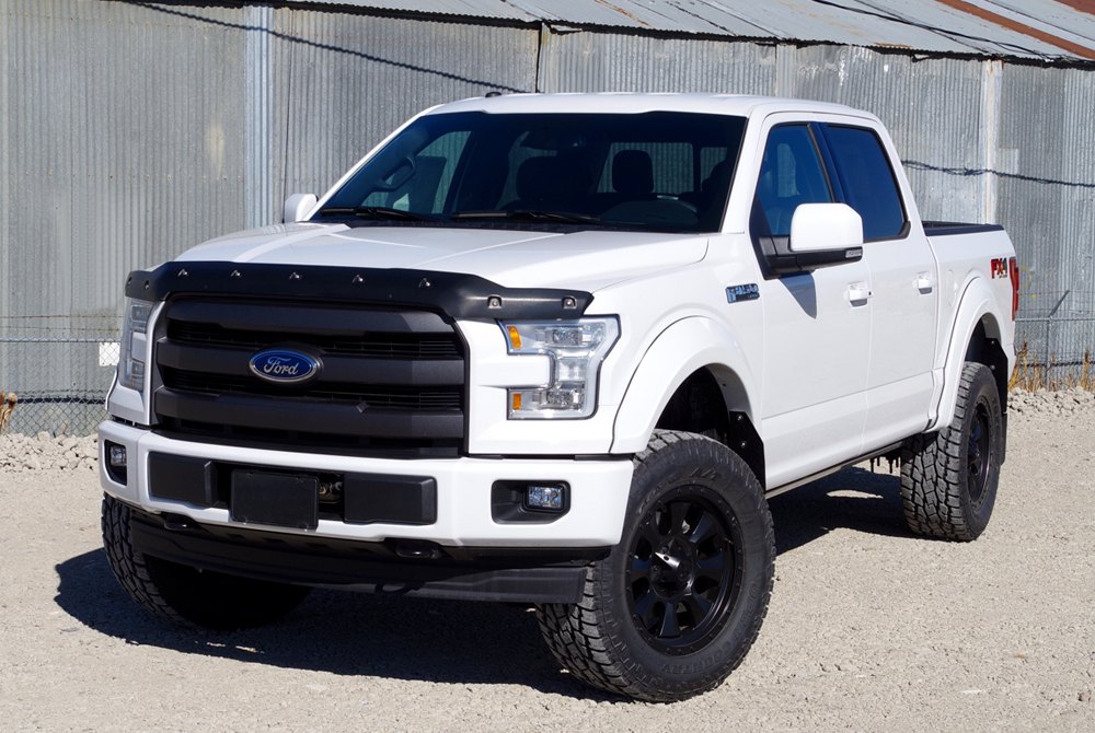 bug shield for 2018 ford f150