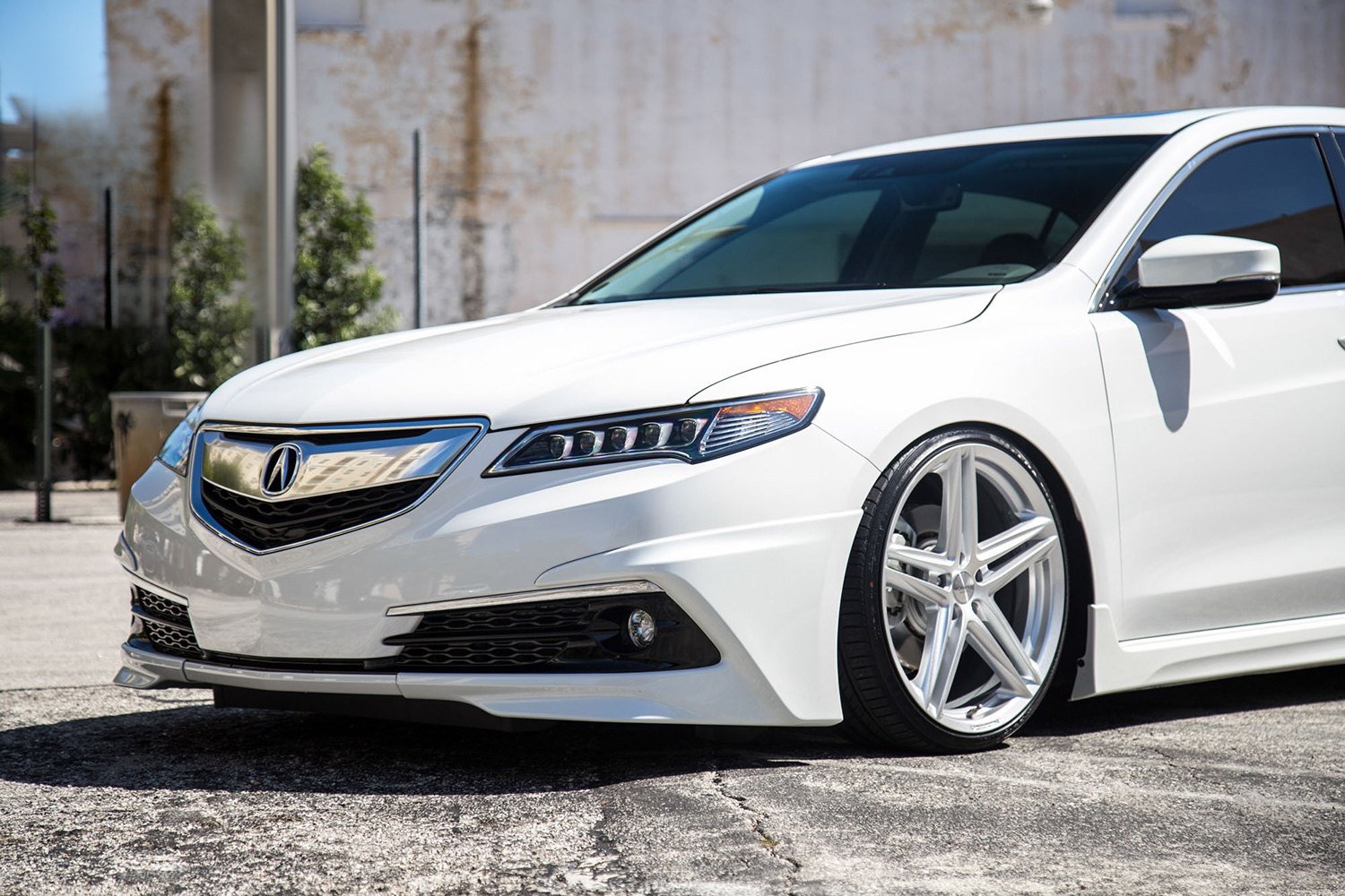 Acura tlx аналог honda