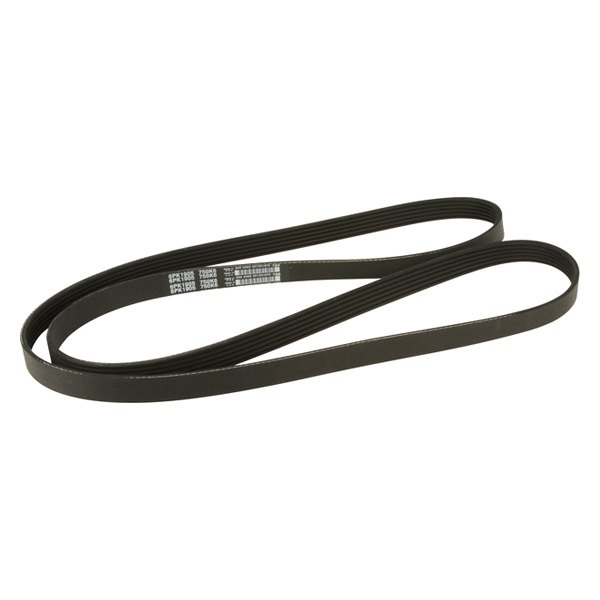 Dayco® W0133-1834575-DAY - Multi-Rib Serpentine Belt